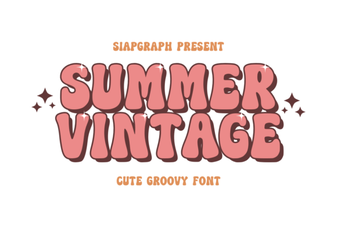 Vintage Summer Fonts for Retro Designs
